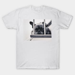 Frenchie T-Shirt